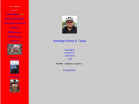 helmut-faupel.de Webseite Vorschau