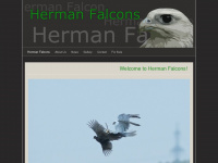 herman-falcons.at Webseite Vorschau