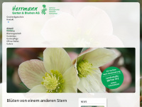 herrmann-blumen.ch