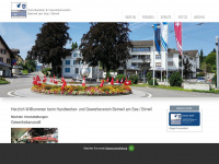 hgvbeinwil.ch Webseite Vorschau
