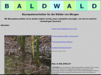 baldwald.de Webseite Vorschau
