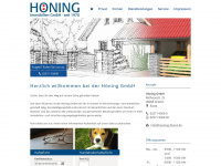 hoening-finanz.de