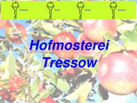 hofmosterei-tressow.de Webseite Vorschau