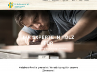 hollensteinag.ch Webseite Vorschau