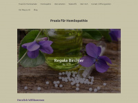 homoeopathie-birchler.ch Webseite Vorschau