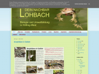 deinnachbarlohbach.blogspot.com Thumbnail