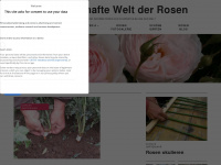 rosenzeit.com Webseite Vorschau