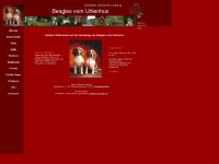 uhlenhus-beagles.de Webseite Vorschau