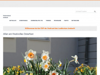 oedp-ansbach.de Webseite Vorschau