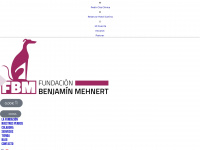 fundacionbm.com Webseite Vorschau