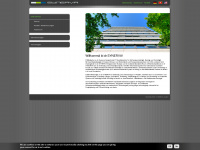 synerva.ch Webseite Vorschau