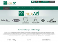 interapi.pl Webseite Vorschau