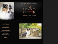 australian-shepherds.com