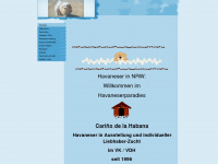 havaneserparadies.eu Webseite Vorschau