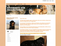 hovawarte-freiensteinau.de Webseite Vorschau