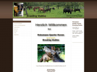 hq-horses.de Webseite Vorschau