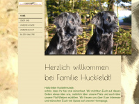 huckfeldt-bokel.de Thumbnail