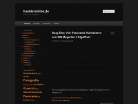 huebleronline.de Webseite Vorschau