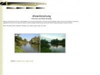 hueneburg-online.de Webseite Vorschau