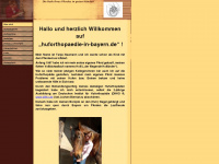 huforthopaedie-in-bayern.de Webseite Vorschau