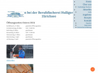 hulligerfisch.ch Webseite Vorschau