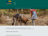 hund-mensch-team.de Webseite Vorschau