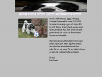 hundebetreuung-hueckeswagen.de Webseite Vorschau