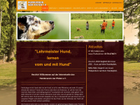 hundeverein-vier-pfoten.de