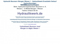 hydraulikwerk.de Webseite Vorschau