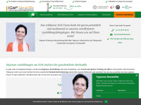 hypnose-ausbildungen.ch Webseite Vorschau