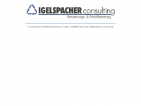 igelspacher-consulting.de Webseite Vorschau