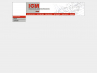 igm-online.de Webseite Vorschau