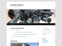 diewildedreizehn.wordpress.com Webseite Vorschau
