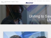 baxter.co.nz Webseite Vorschau