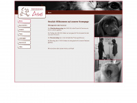 tierarztpraxis-abel.de Webseite Vorschau