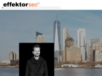 searchengineoptimization-newyork.com