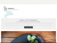 cdubeau.com Webseite Vorschau