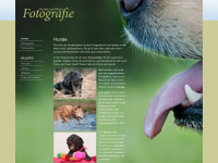 hunde-und-natur.de Thumbnail