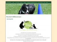team-dogs-eifel.de Webseite Vorschau