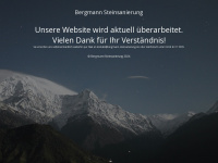 bergmann-steinsanierung.de Webseite Vorschau