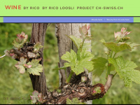 wine-by-rico.ch Webseite Vorschau