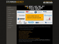 steinmanagency.com