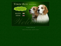 torok-kuti.com Webseite Vorschau