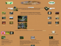 forestwander.com Webseite Vorschau