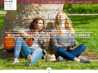 musikschule-fuerstenwalde.de Webseite Vorschau