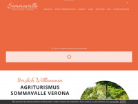 verona-agriturismo.it Webseite Vorschau