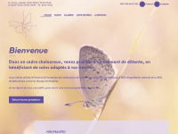 institut-butterfly.ch Webseite Vorschau