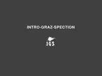 intro-graz-spection.at Webseite Vorschau