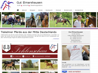 elmarshausen.de Webseite Vorschau