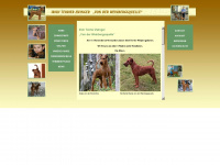Irish-terrier-weinbergsquelle.de